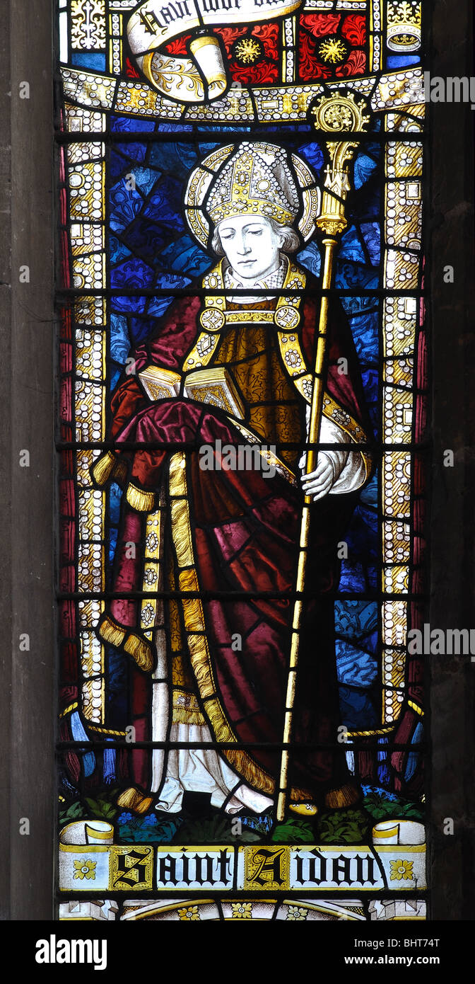 Saint Aidan stained glass, St. Mary`s Church, Everdon, Northamptonshire, England, UK Stock Photo